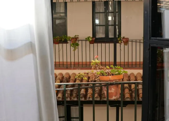 Avantistays Capote * Siviglia